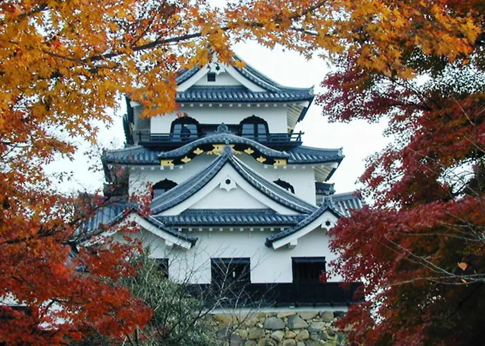 Toyoko Inn Hikone Eki Higashi Guchi